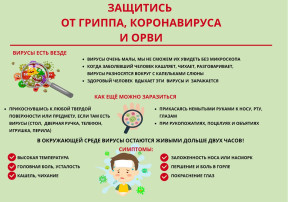 Профилактика ОРВИ и гриппа Профилактика ОРВИ и гриппа.