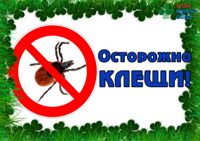 Клещи Клещи.